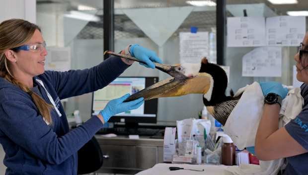 L-R Kylie Clatterbuck, Wildlife Center Manager, and Jennifer Martines, Wildlife...