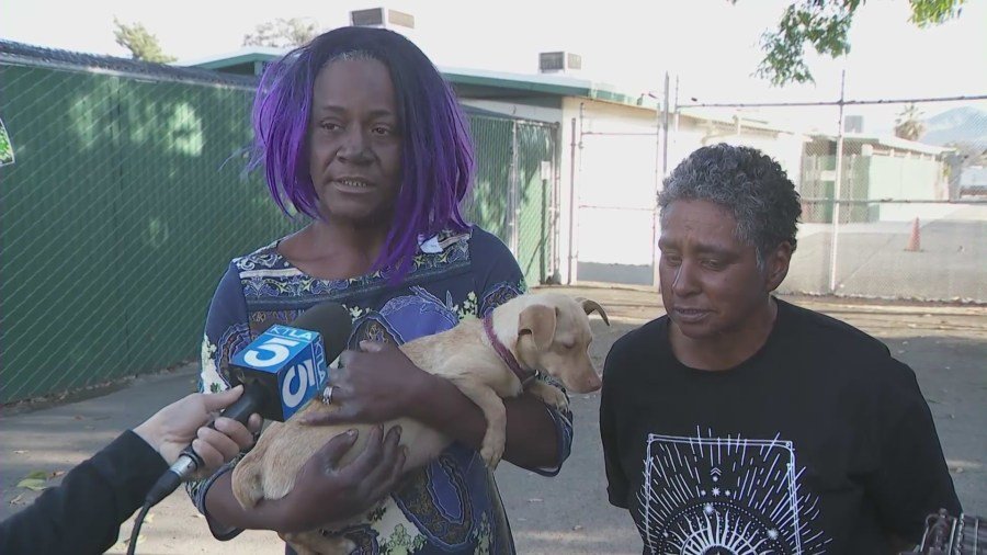The puppies' owners holding the dogs' mother while speaking to KTLA on March 1, 2024.