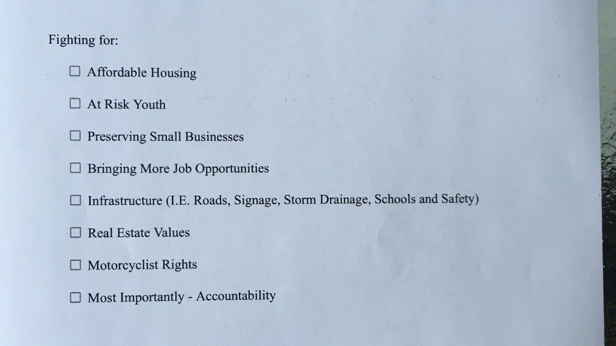 Michael Bruyette flyer listing his goals as a city council candidate