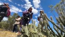 Botanists and citizen scientists armed with the iNaturalist app on their smartphones are recording the biodiversity along the U.S.-Mexico border. Called the Border Bioblitz, more than 1,000 volunteers are recording as many species as possible in May. Botanist Sula Vanderplank says the endeavor started when the former Trump administration added hundreds of miles of border walls including through the biodiversity hotspot of Baja California.