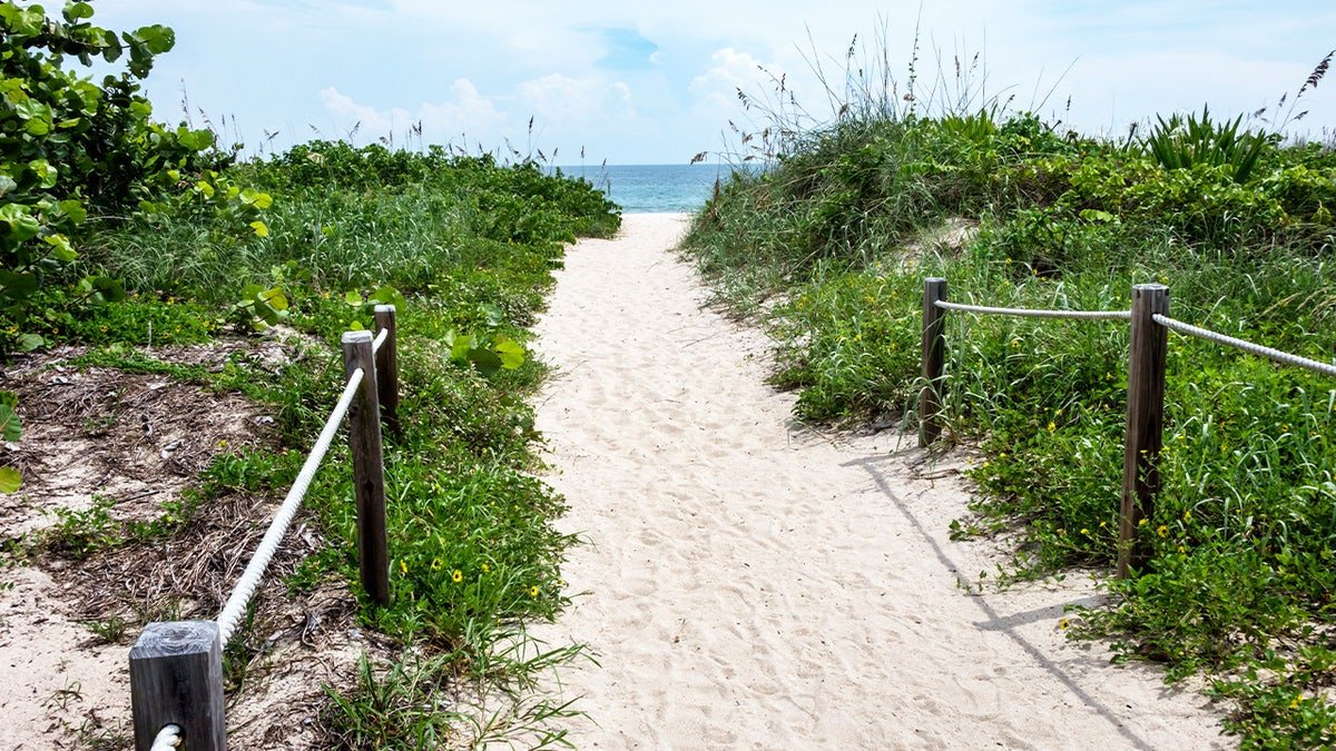 Inlet beach