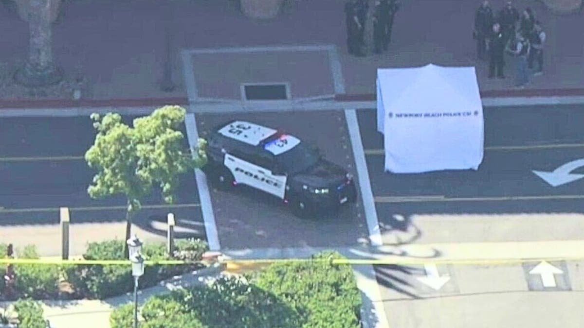 Police car and tent outside shopping mall