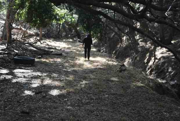 An area is cleared of its dry brush in the...