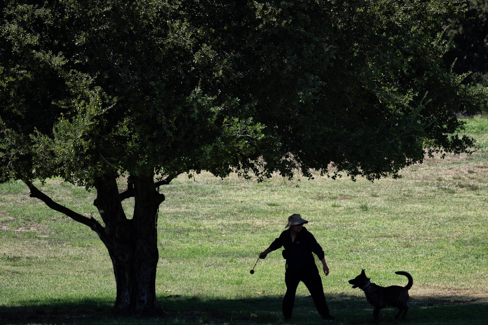 A man plays with a dog out of the heat...